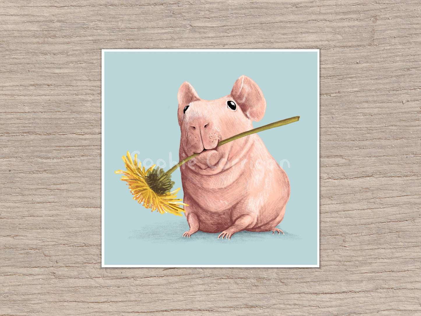 Skinny Pig Signed Art Print