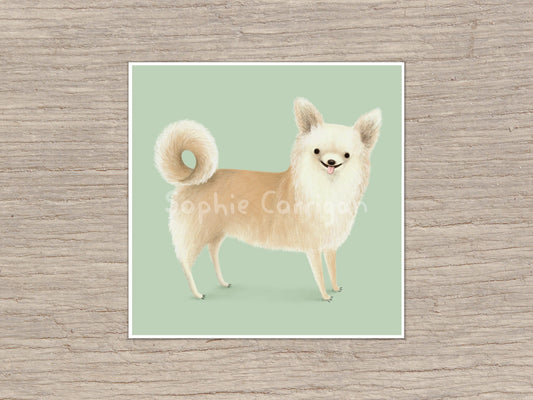 Longhair Chihuahua Portrait Signed Art Print