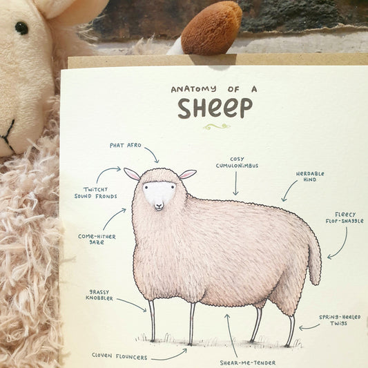 Anatomy of a Sheep Card