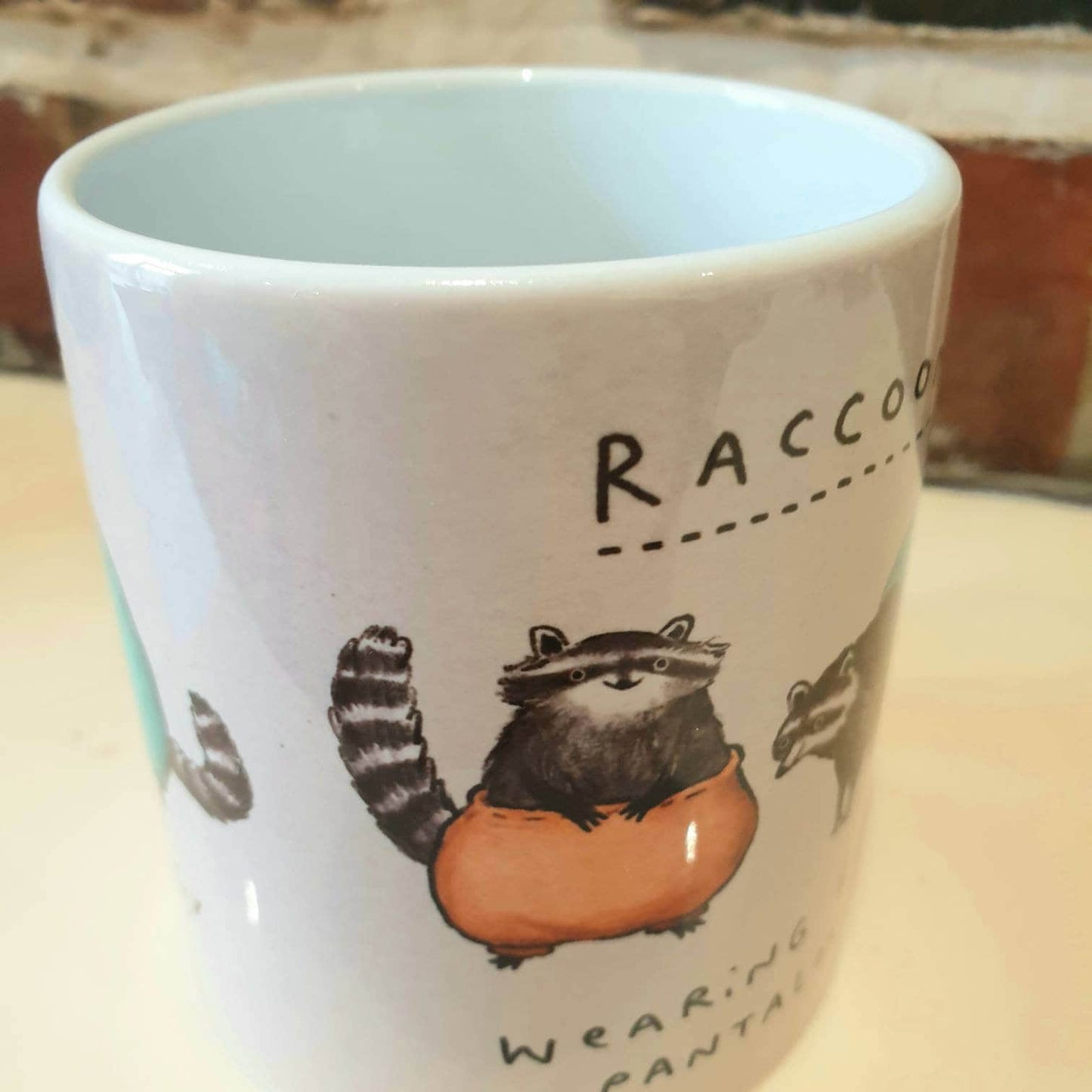 Raccoons Wearing Baggy Pantaloons 11oz Mug