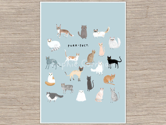Purr-fect Curious Cats Signed Art Print
