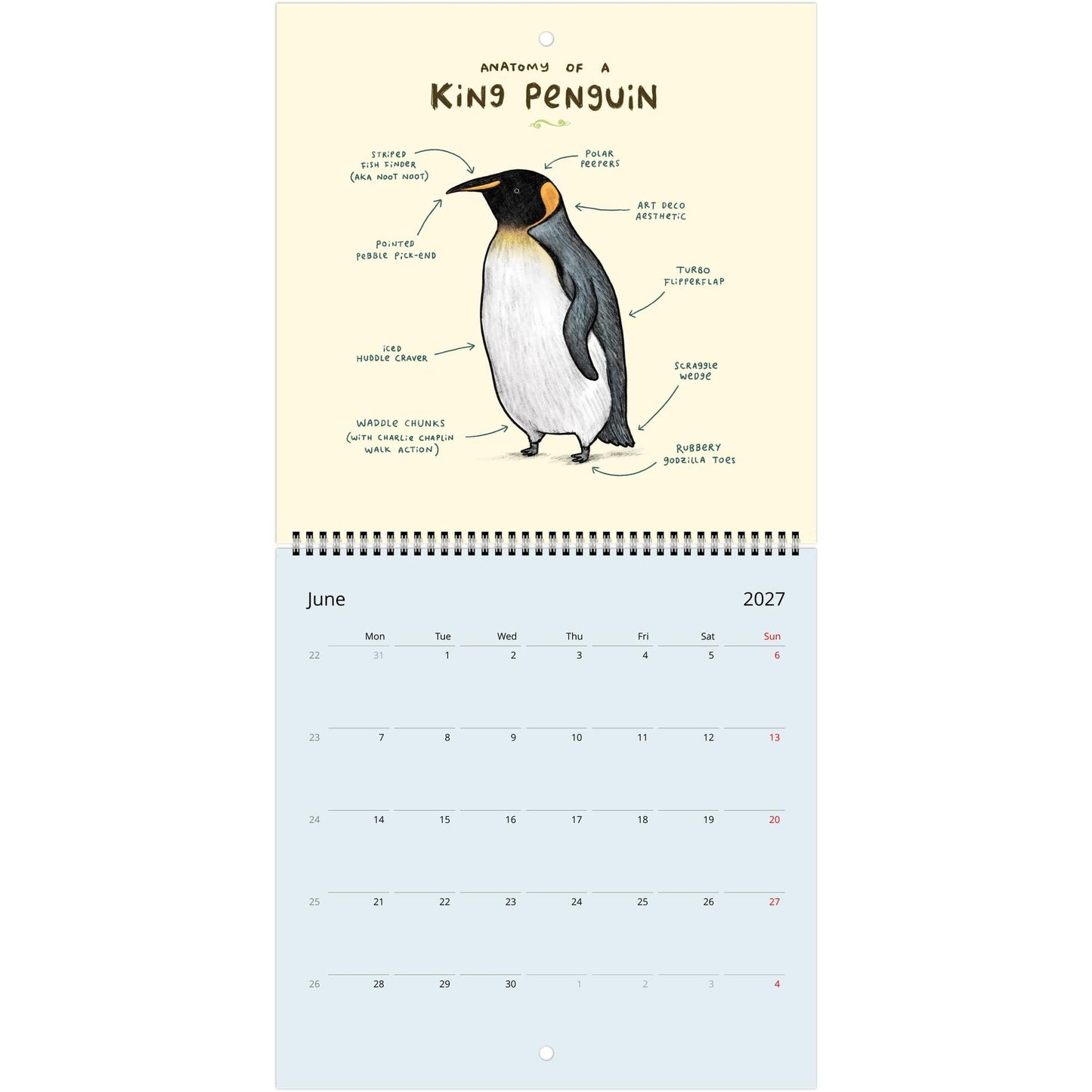 Animal Anatomy 2026 July - 2027 June Cute Creatures 12 Month Wall Calendar