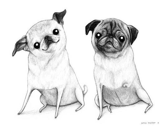 Pencil Pet Portrait - A4