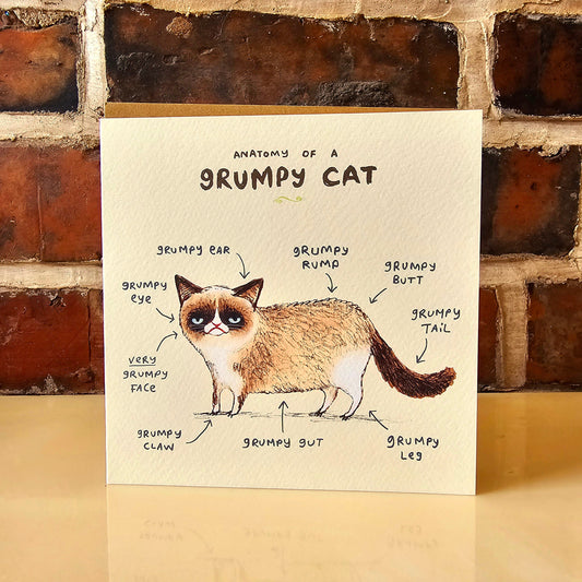 Anatomy Of A Grumpy Looking Cat Card