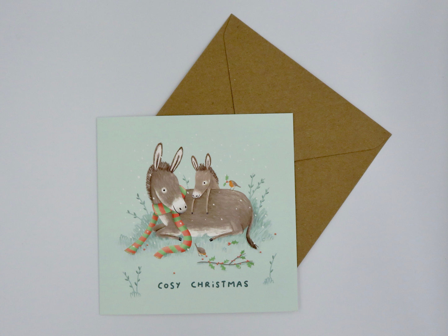 Donkeys and Robins Cosy Christmas Card