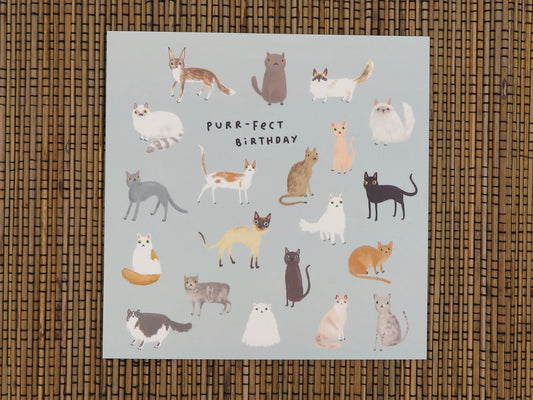 Purrfect Cats Birthday Card