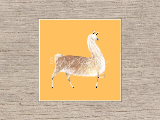 Sassy Little Llama Signed Art Print