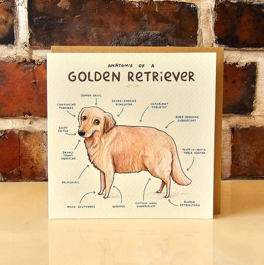 Anatomy of a Golden Retriever Greeting Card: Funny Dog Illustration