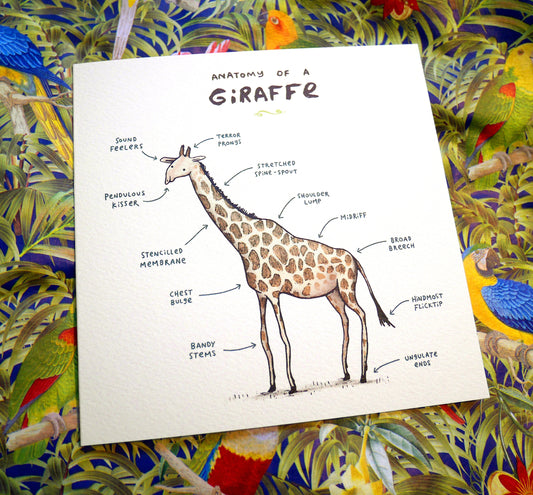 Anatomy Of A Giraffe Card