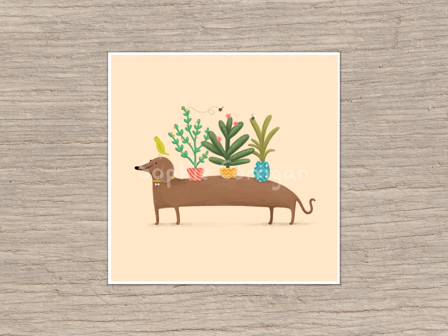 Dachshund & Parrot Signed Art Print
