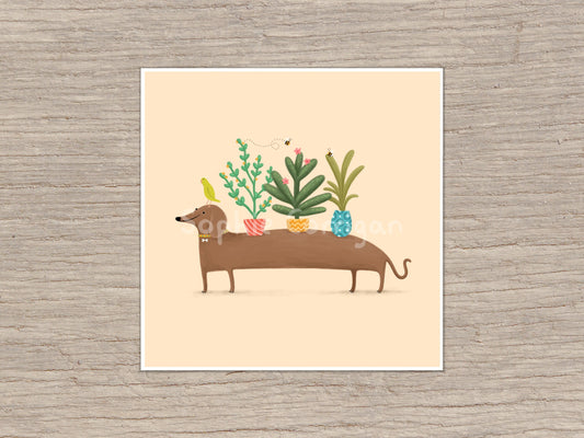 Dachshund & Parrot Signed Art Print