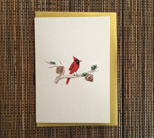 Cardinal on Branch Christmas Card