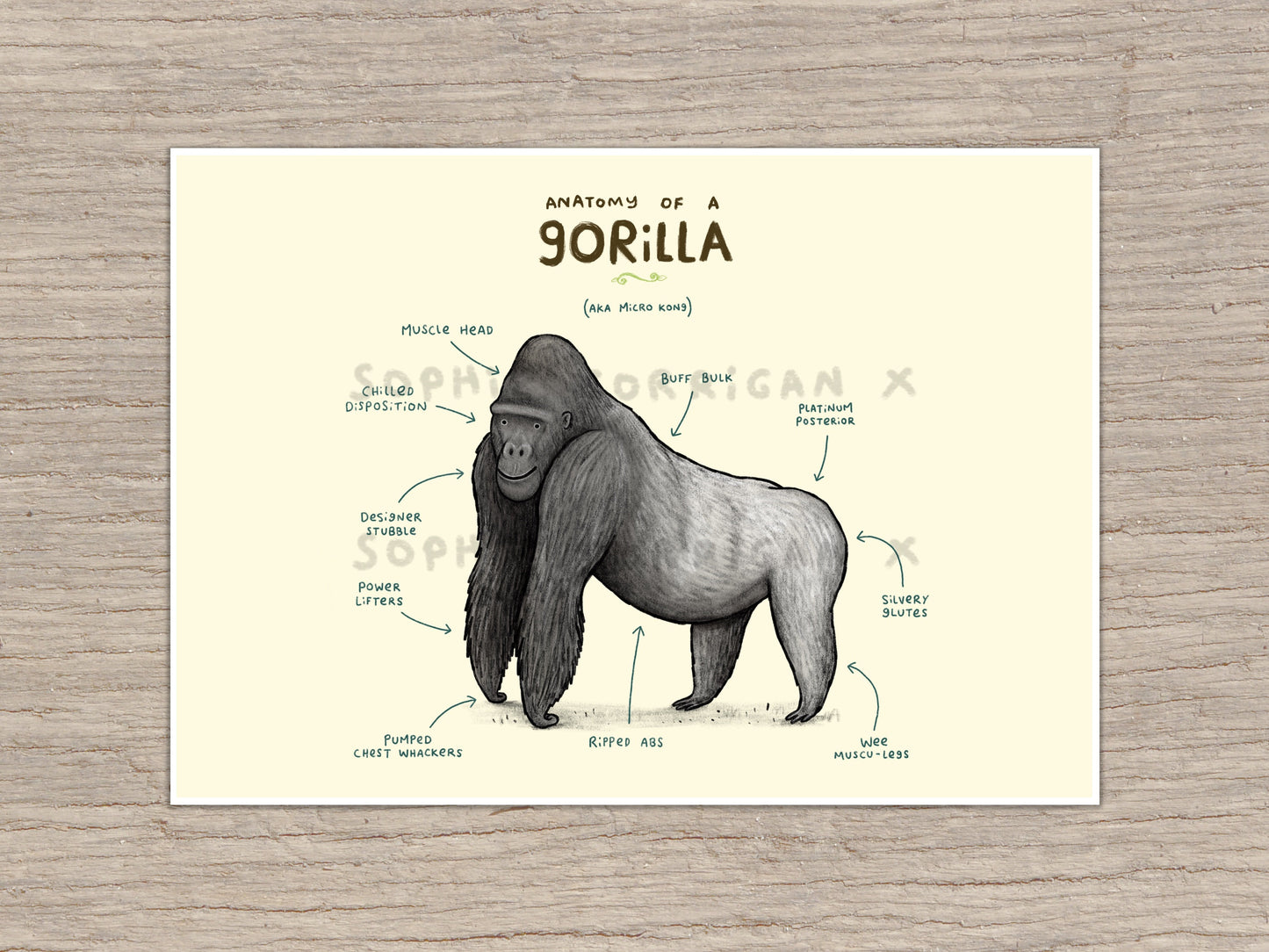 Anatomy of A Gorilla Signed Art Print