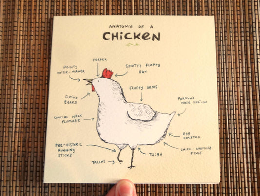 Anatomy Of A Chicken Card