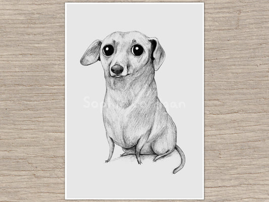 Monochrome Dachshund Portrait Signed Fine Art Print