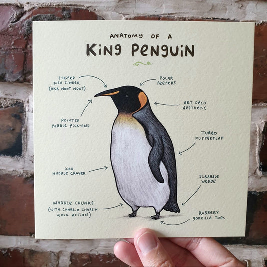 Anatomy of a Penguin Card: Scientific Animal Illustration
