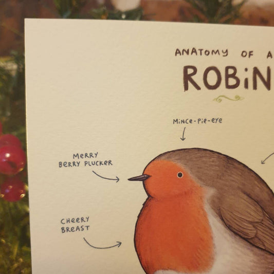 Anatomy of a Robin Card – Cute Bird Christmas Card