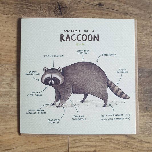 Anatomy Of A Raccoon Card