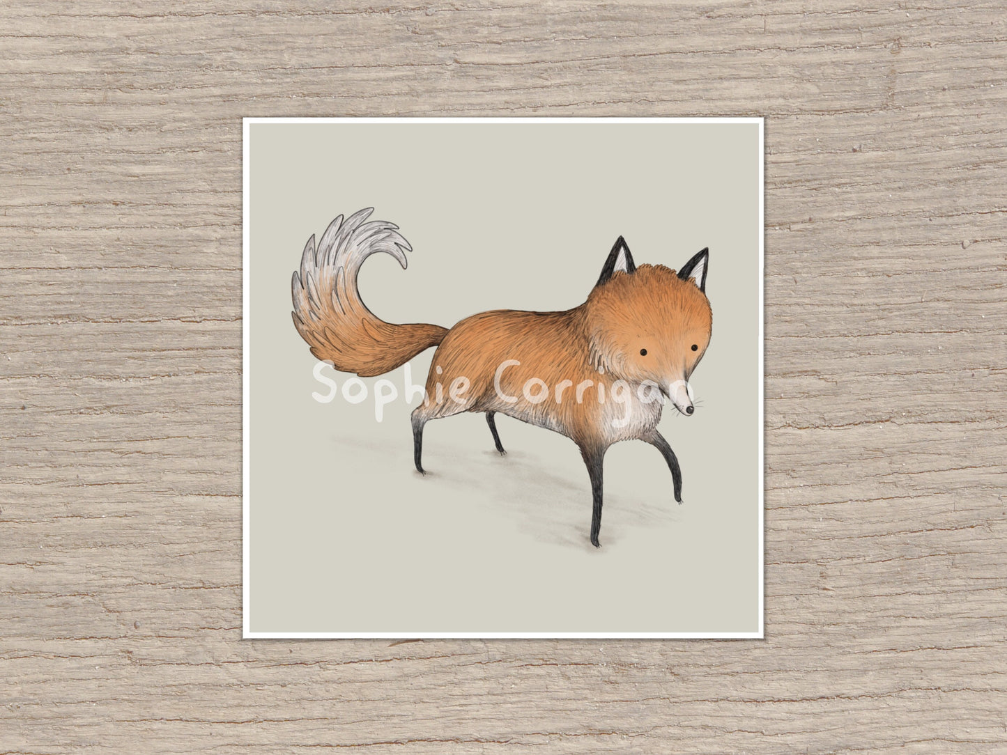Funny Little Fox Signed Fine Art Print