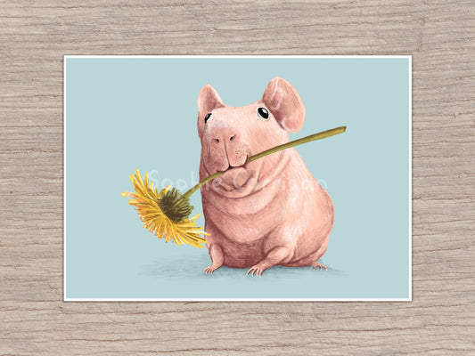 Skinny Pig Signed Art Print