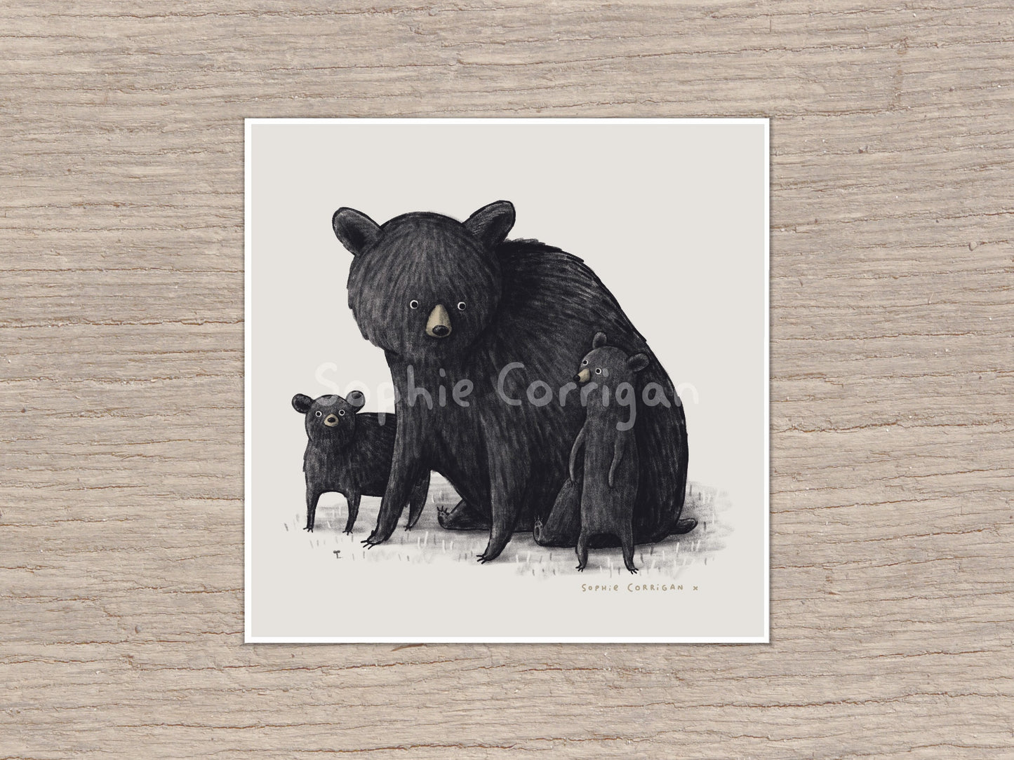 Black Bear Family Illustration Signed Fine Art Print