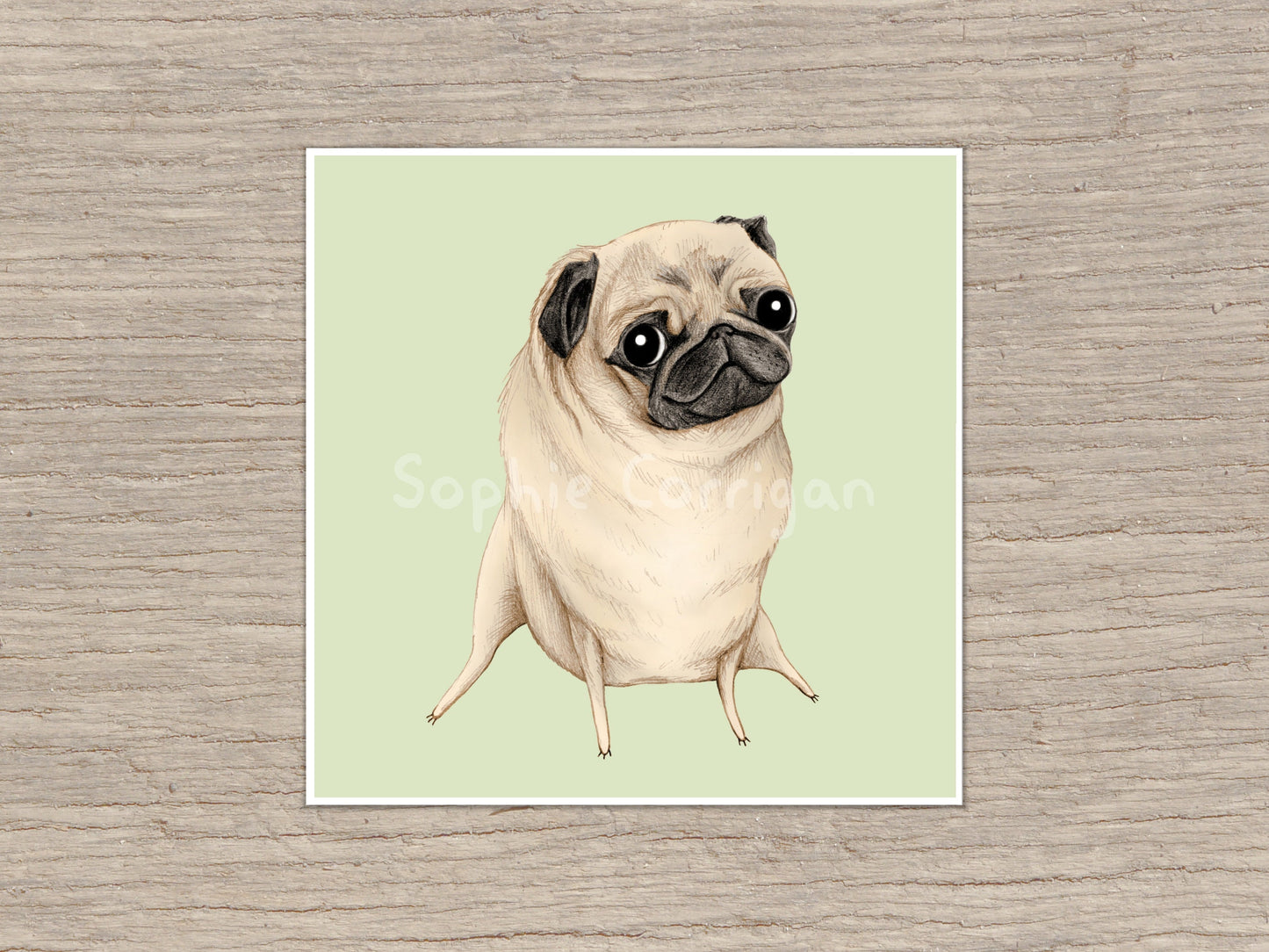 Sweet Fawn Pug Portrait Signed Fine Art Print