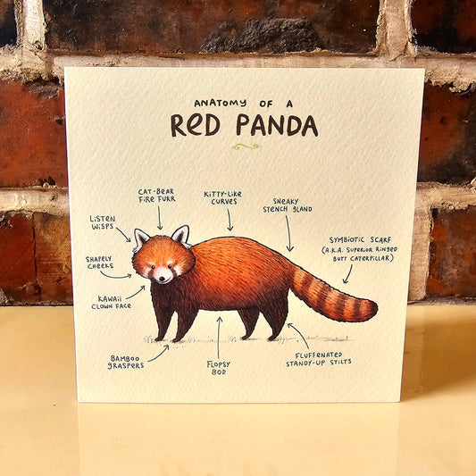 Anatomy Of A Red Panda Card