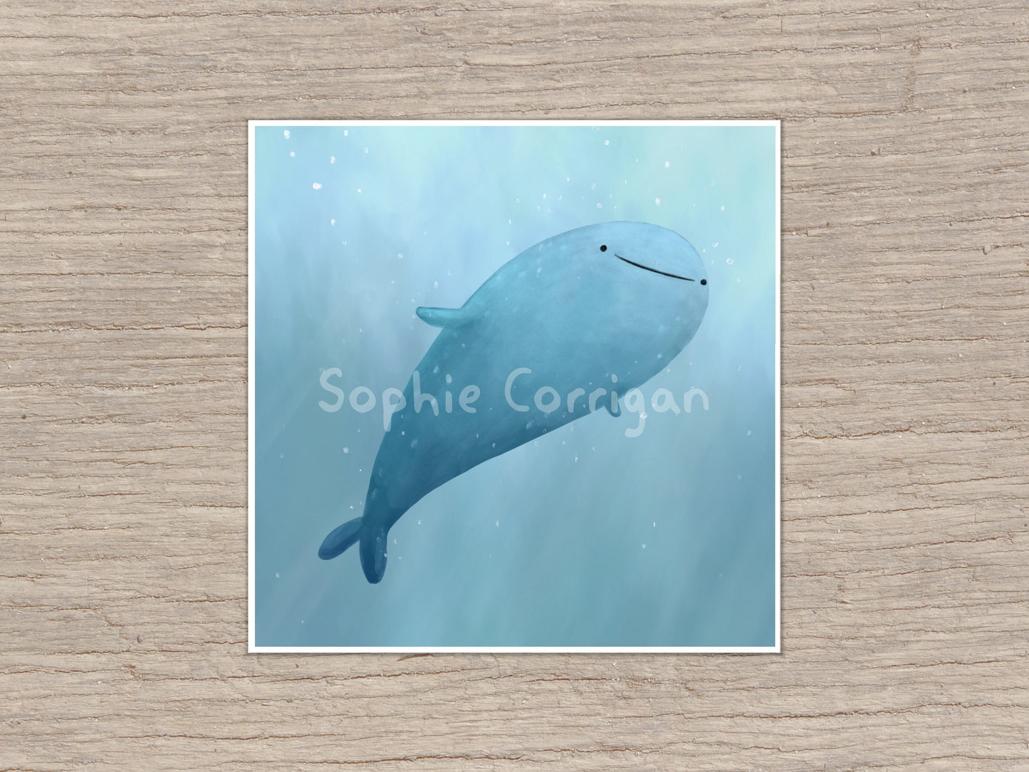 Cute Whale Shark Illustration 210mm Square Signed Art Print