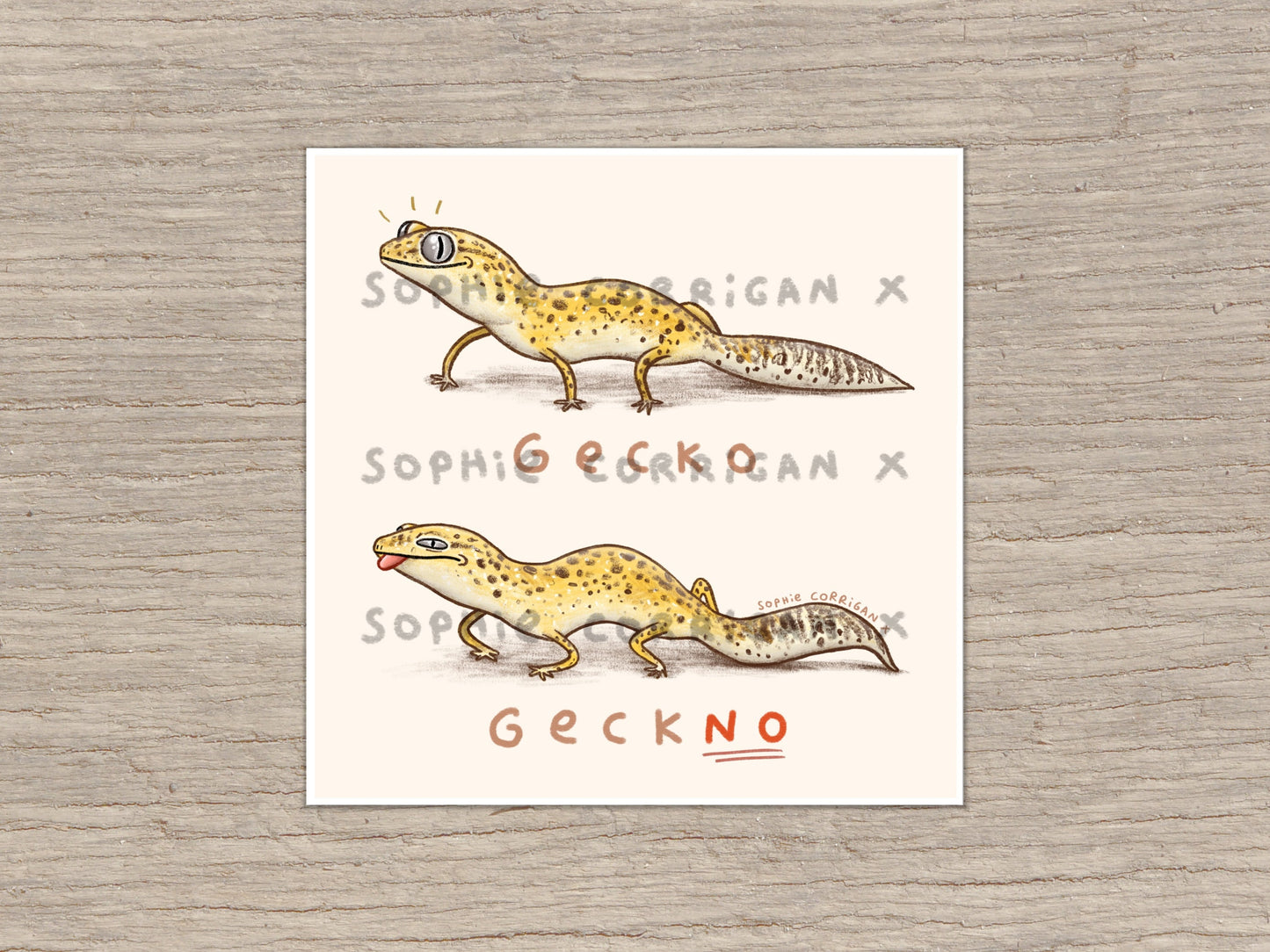 Gecko Geckno Signed Art Print