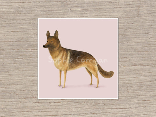 German Shepherd Portrait Signed Art Print