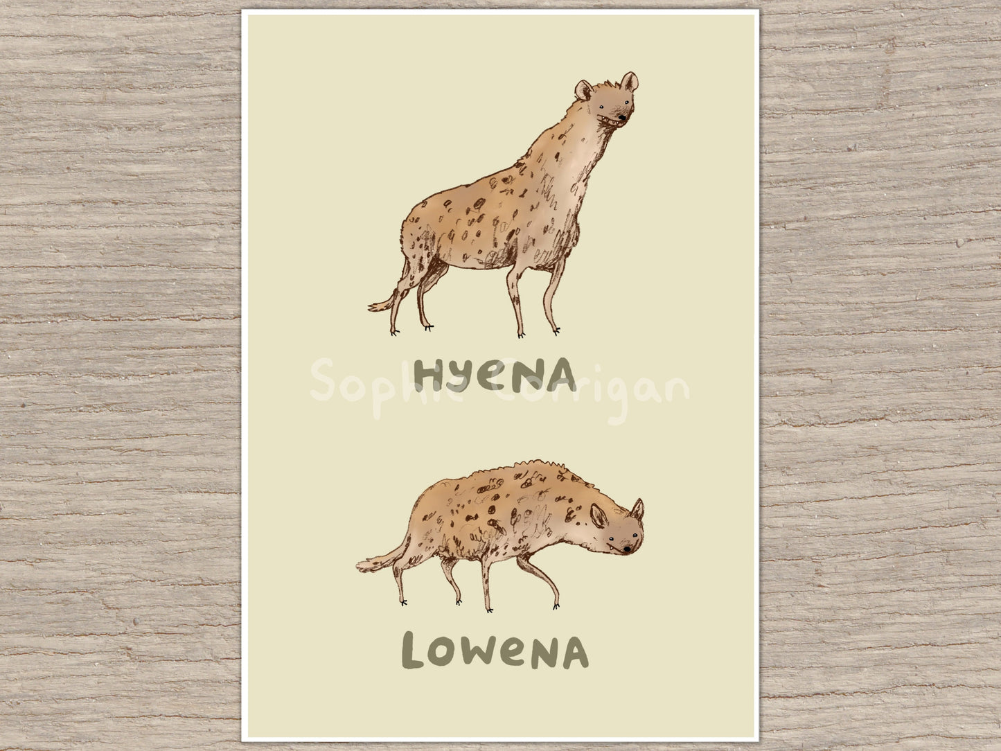 Hyena Lowena Signed Art Print