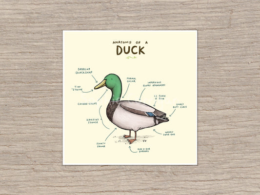 Anatomy of a Duck Signed Art Print