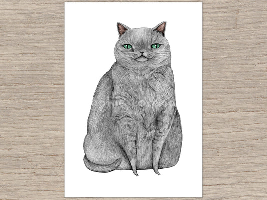 Signed Grey Cat Art Print: Quirky Pet Portrait Illustration