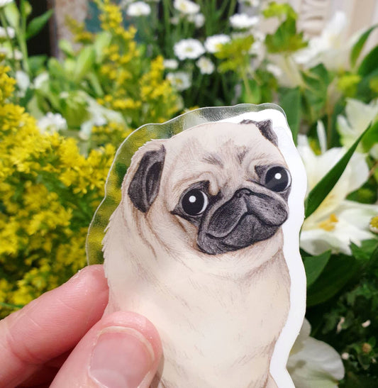 Sweet Fawn Pug Portrait Sticker