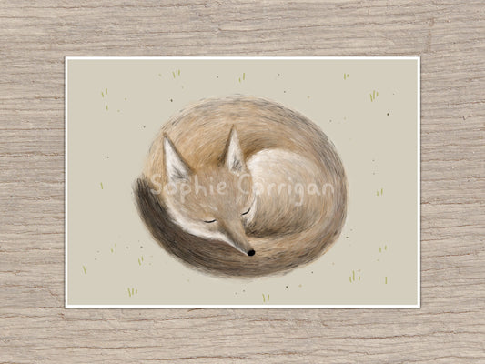 Swift Fox Sleeping Signed Art Print