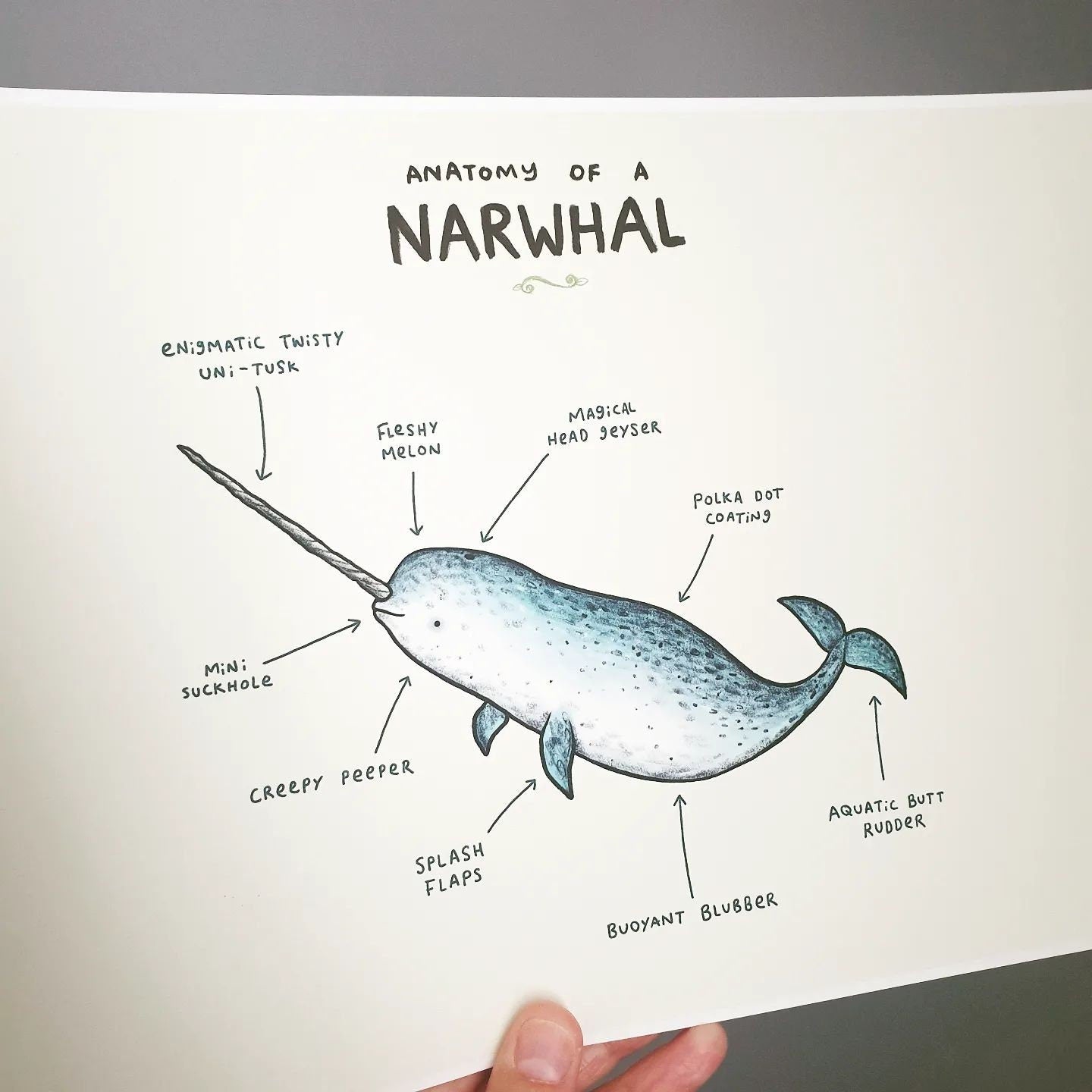 Anatomy of a Narwhal Signed Art Print