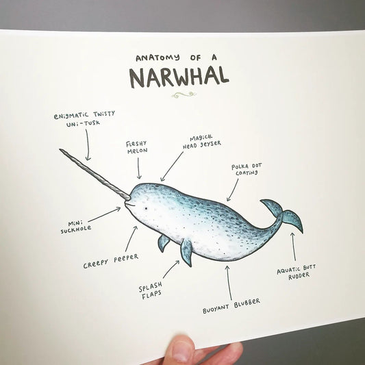 Anatomy of a Narwhal Signed Art Print