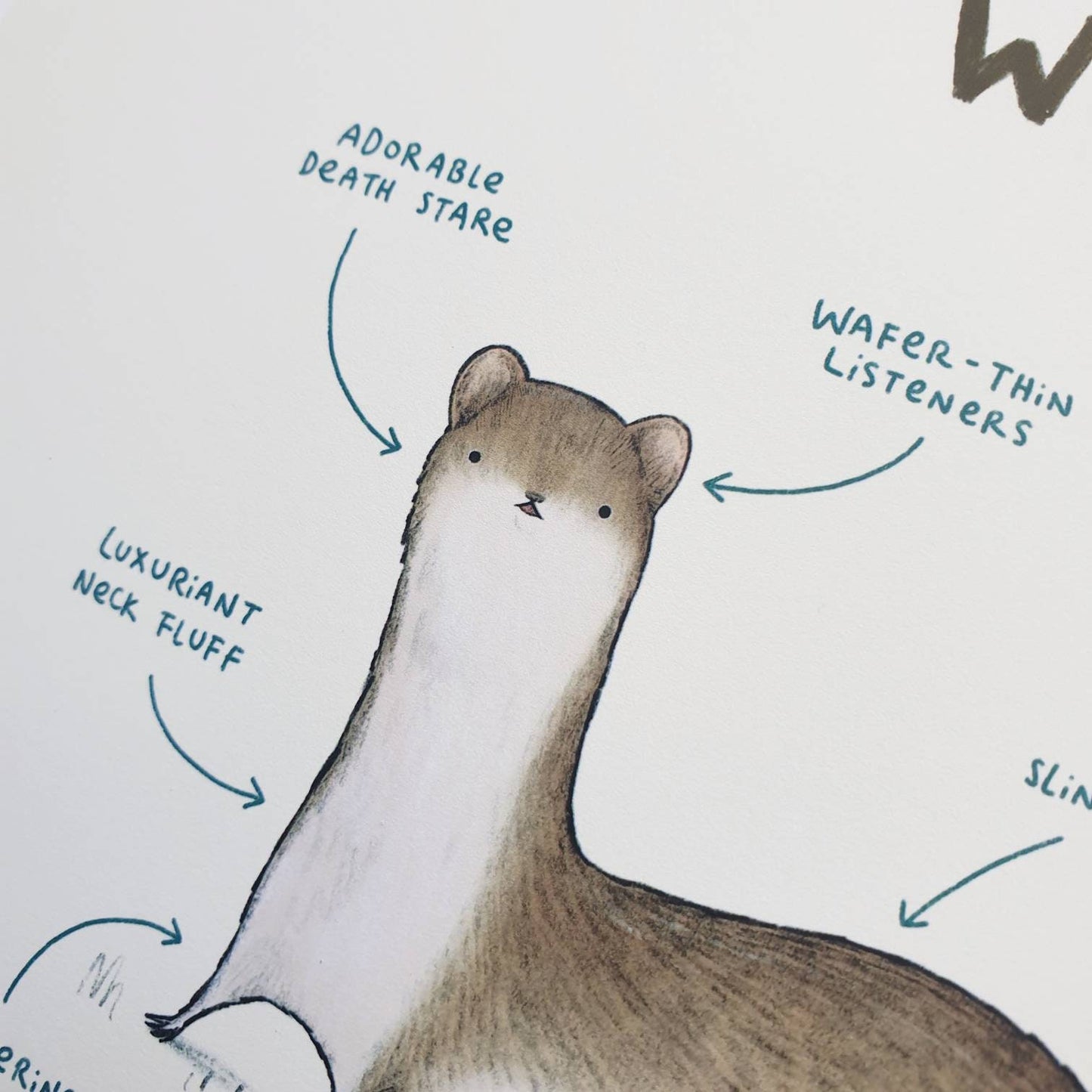 Anatomy of a Weasel Signed Art Print