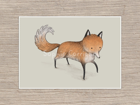 Funny Little Fox Signed Fine Art Print