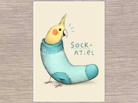 Sockatiel Sock Cockatiel Signed Fine Art Print