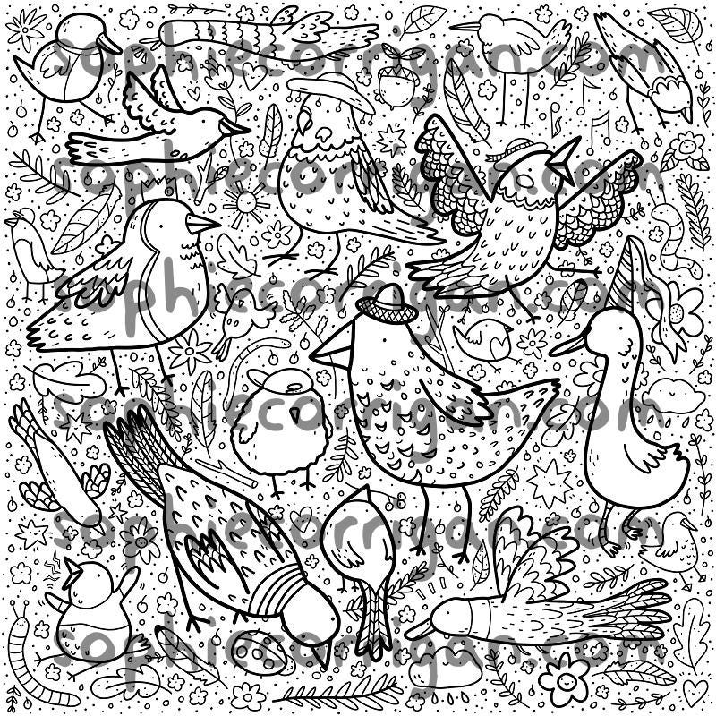 Happy Birds Colouring Page