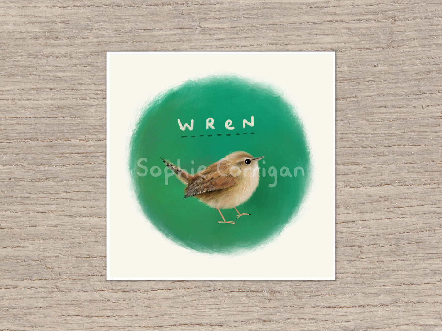 Wren Bird Signed Fine Art Print