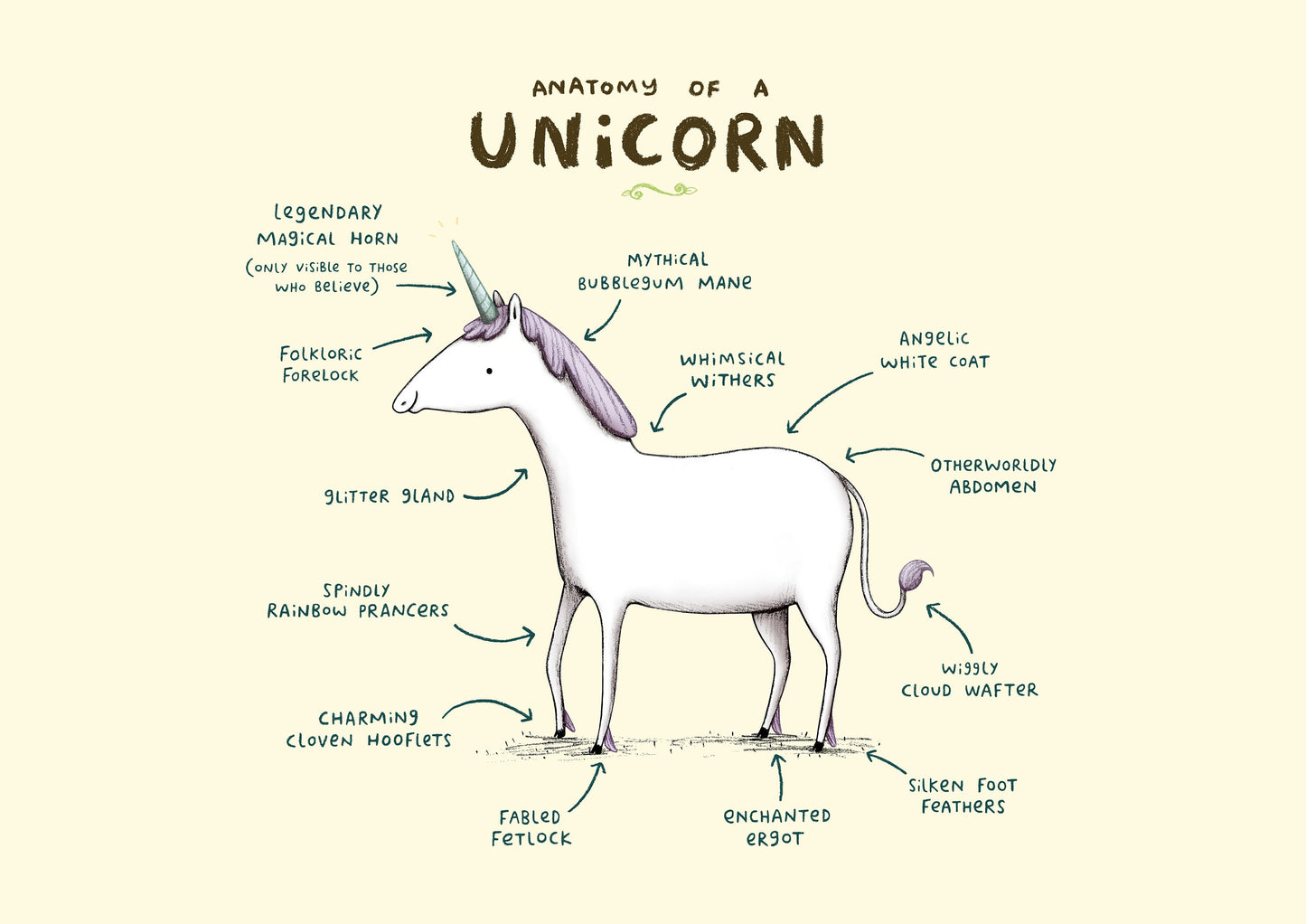 Anatomy Of A Unicorn A4 Signed Print Magical Horse