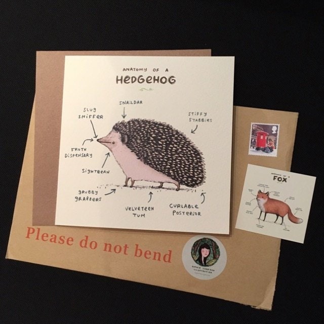 Anatomy Of A Hedgehog Card