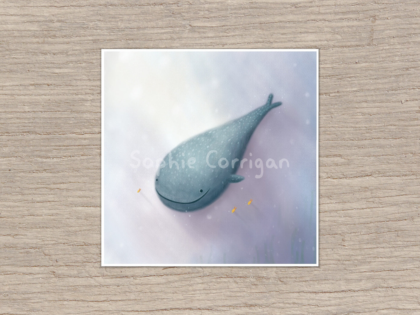 Happy Whale Shark Signed Art Print
