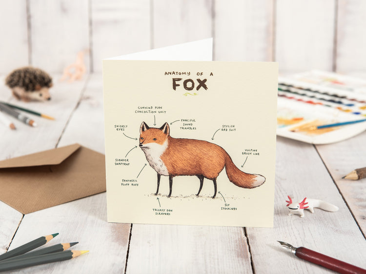 Animal Anatomy