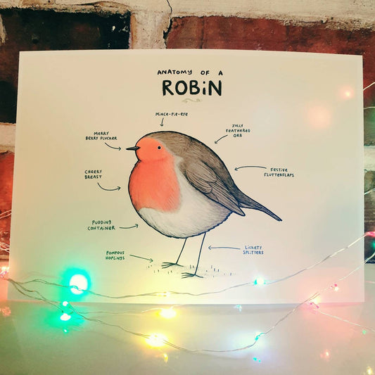 Anatomy of a Robin Signed Art Print