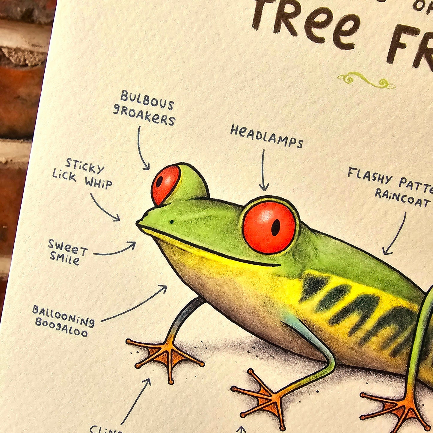 Anatomy of a Tree Frog Greeting Card: Funny Animal Illustration