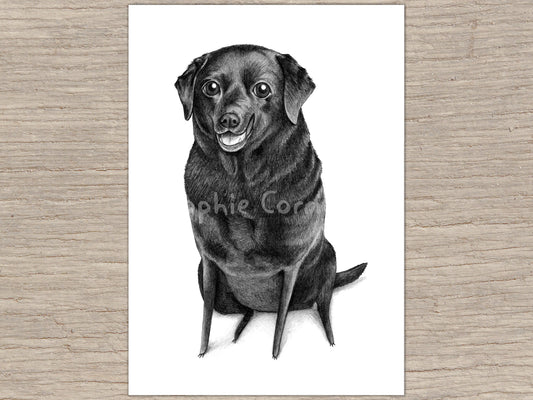 Black Labrador Portrait Signed Fine Art Print