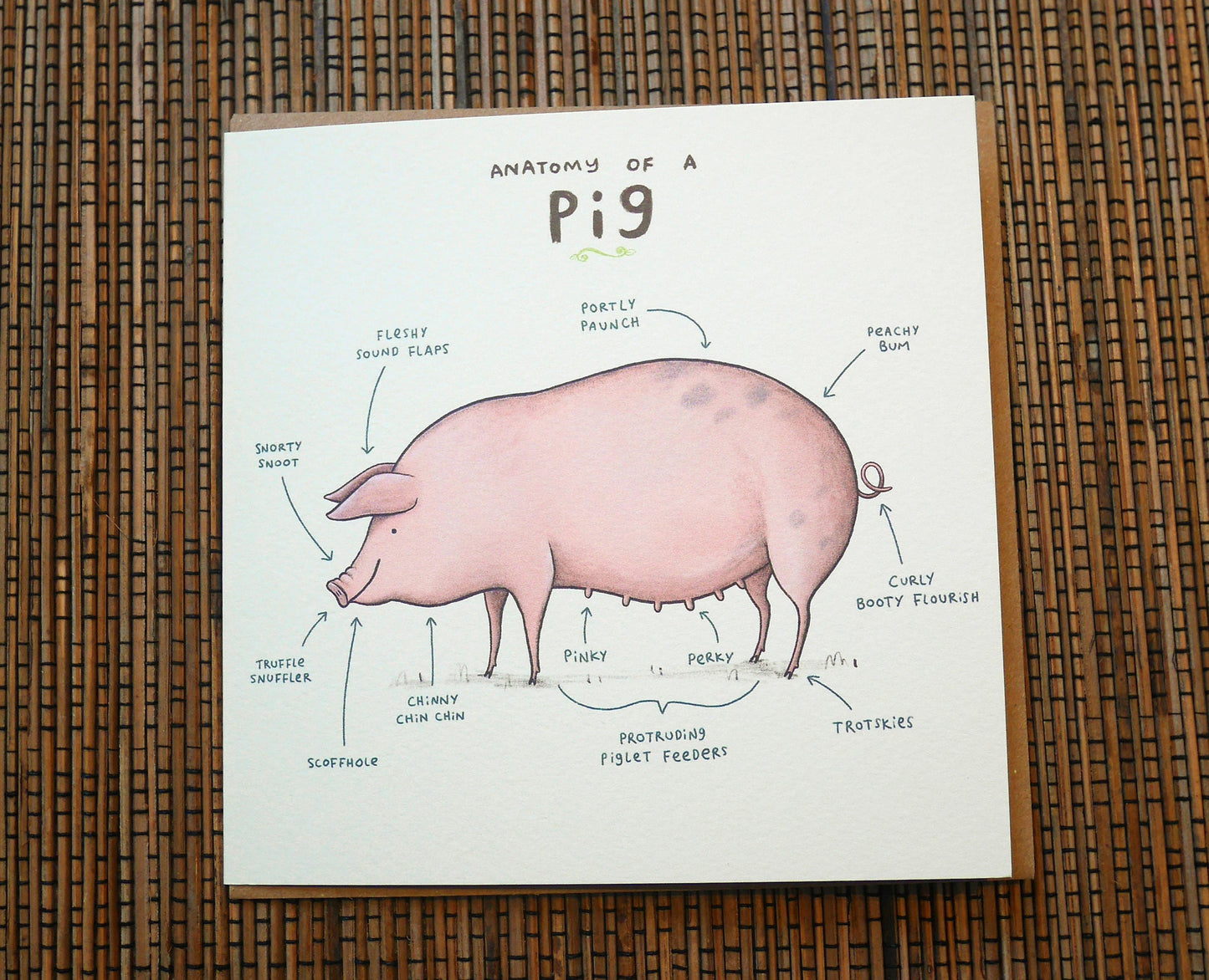 Anatomy Of A Pig Card
